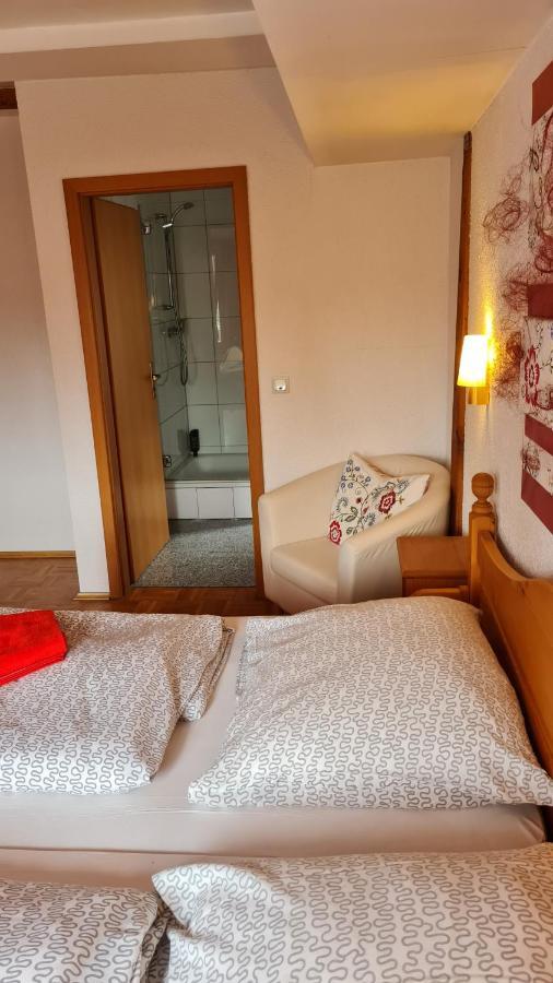 Hotel Kartaeuser Hof Mainz בודנהיים מראה חיצוני תמונה