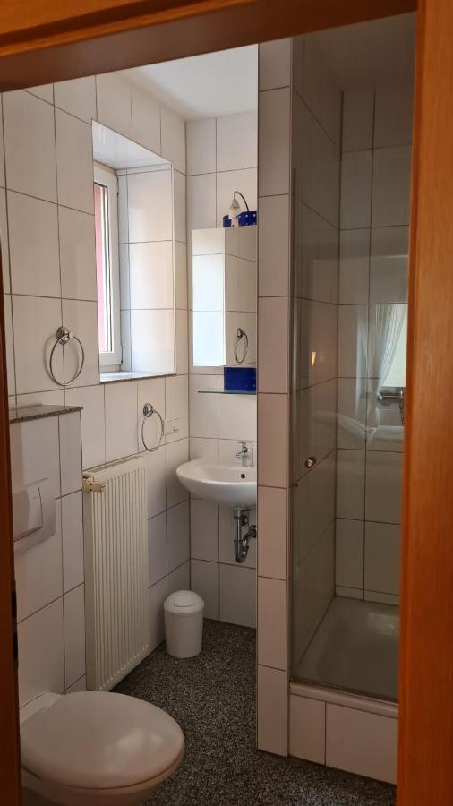 Hotel Kartaeuser Hof Mainz בודנהיים מראה חיצוני תמונה